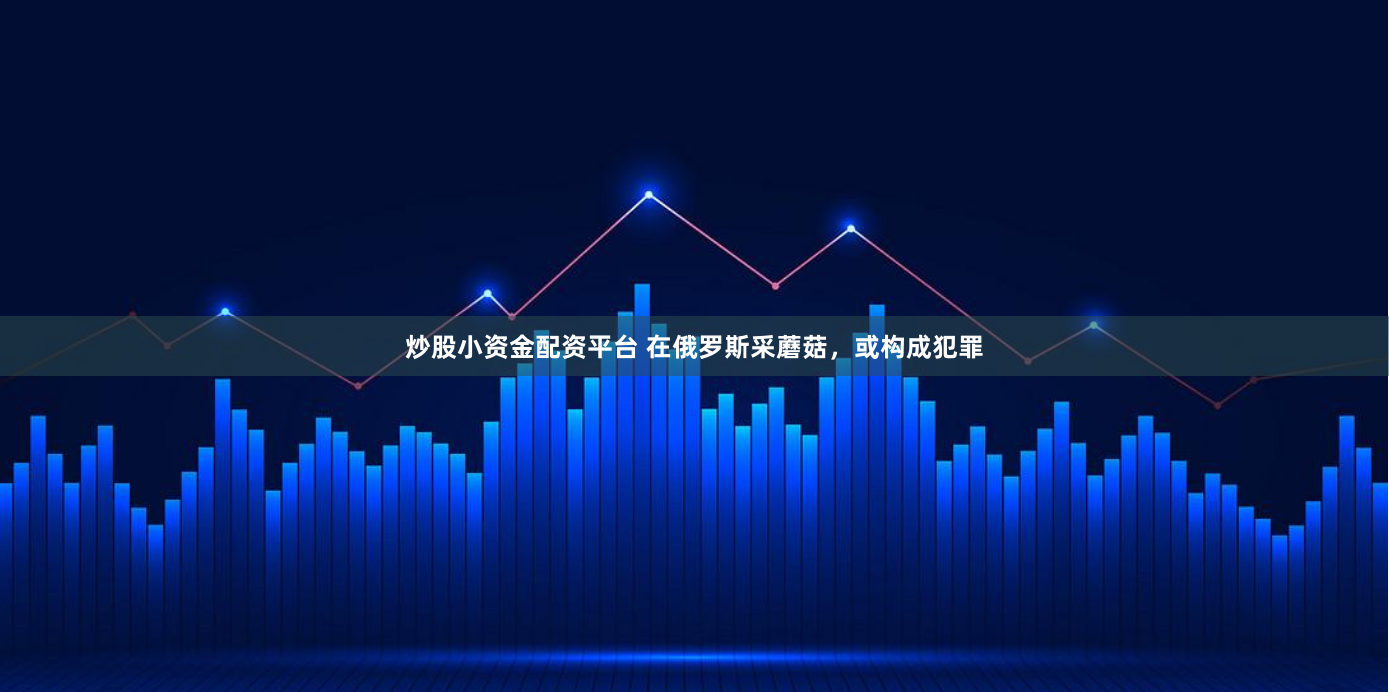 炒股小资金配资平台 在俄罗斯采蘑菇，或构成犯罪