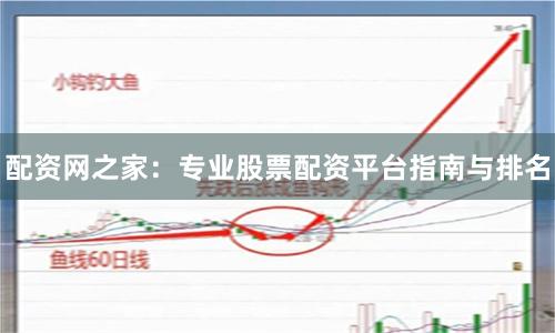 配资网之家：专业股票配资平台指南与排名